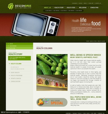 精彩網頁設計在水電維修材料領域的應用與展示